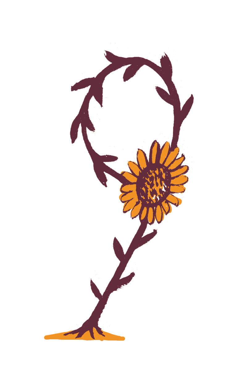 sunflower shaped as number 9